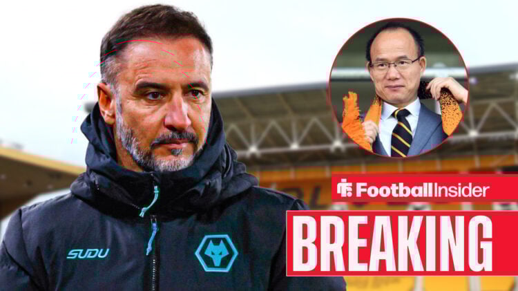Vitor Pereira and Guo Guangchang at Wolves