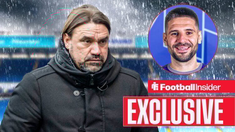 Daniel Farke could sign Aleksandar Mitrovic for Leeds United
