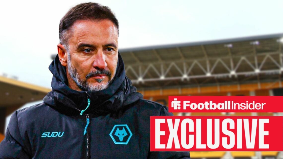 Vitor Pereira stood on Wolves' touchline