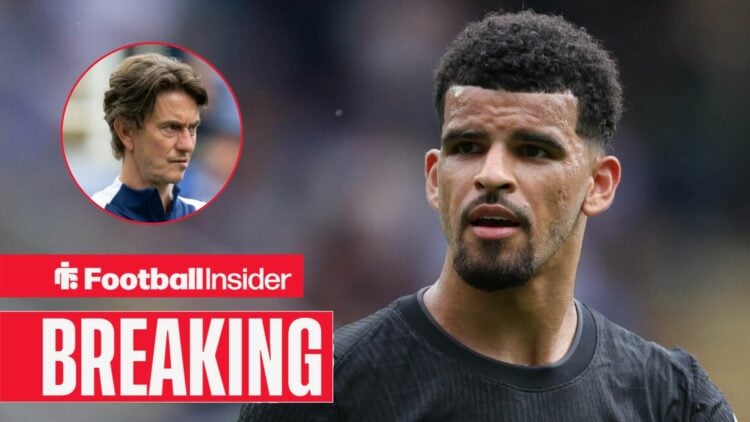 Tottenham's Dominic Solanke in action looking confused at manager Thomas Frank who looks back with focus left inset