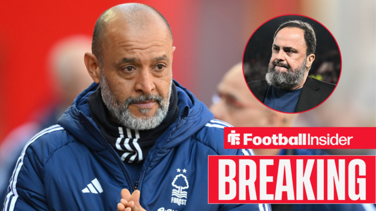 Nottingham Forest manager Nuno Espirito Santo looks ahead concerned with co-owner Evangelos Marinakis looking at him right inset