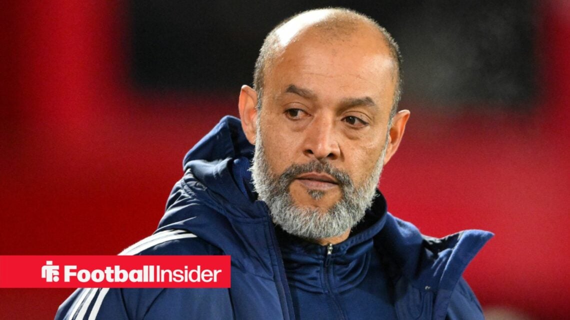 Manager Nuno Espirito Santo