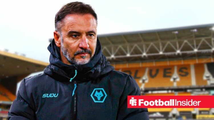 Wolves manager Vitor Pereira at Molineux