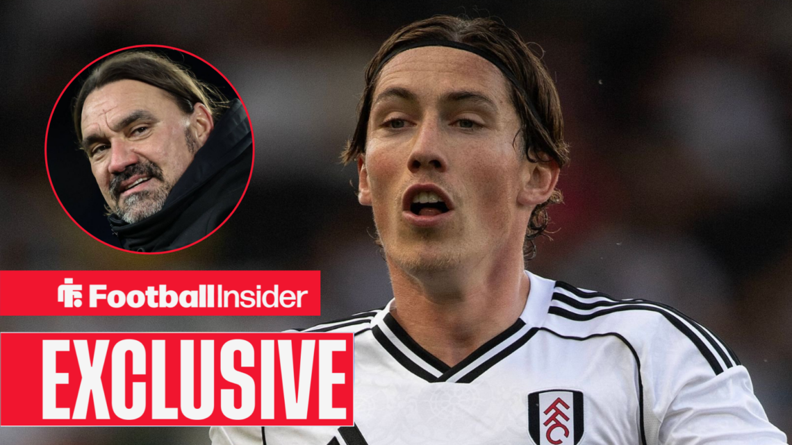 Harry Wilson playing for Fulham with Daniel Farke included in circular inset