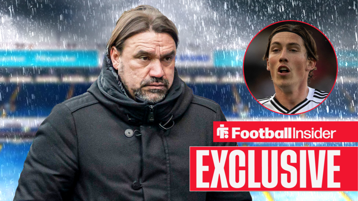 Daniel Farke in the rain at Elland Road with Harry Wilson in a circular inset