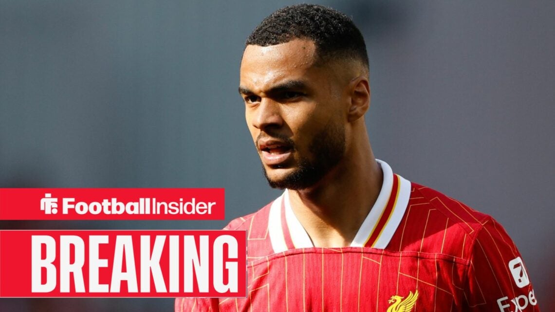 Liverpool winger Cody Gakpo