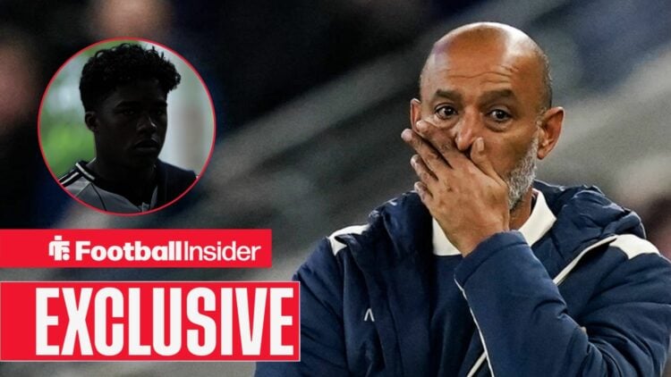 Endrick faded out on the left with Nuno Espirito Santo in shock on the right for West Ham