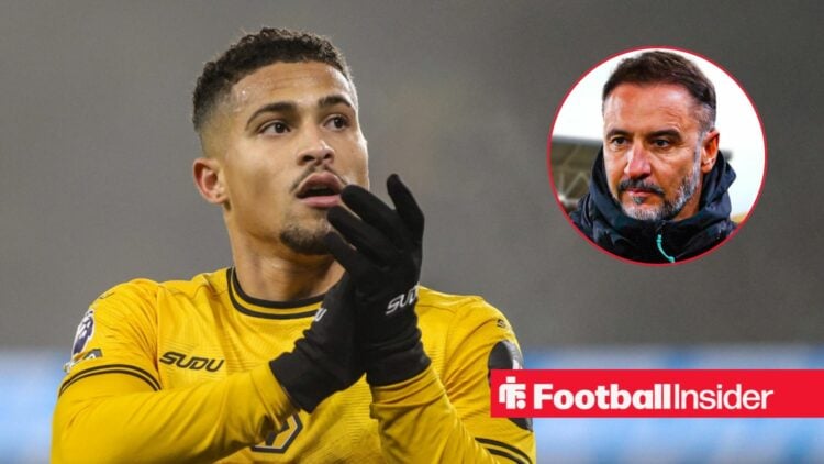 Joao Gomes applauding at Wolves, with Vitor Pereira in a circular inset