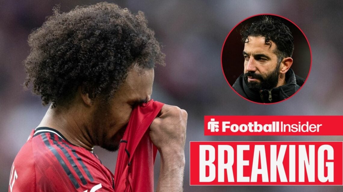 Joshua Zirkzee, Ruben Amorim