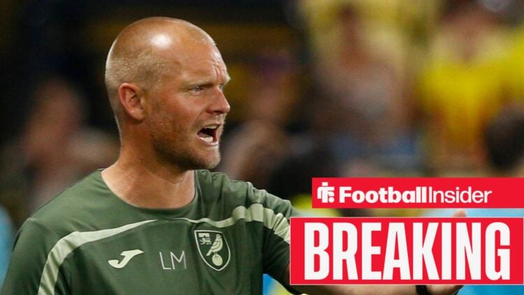 Liam Manning on the touchline at Norwich City