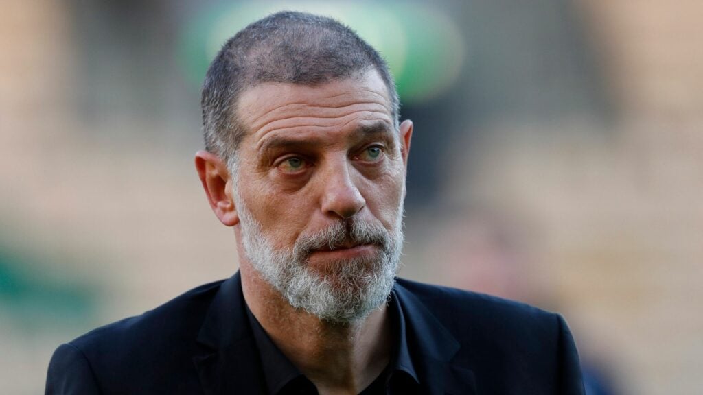 Slaven Bilic on the touchline