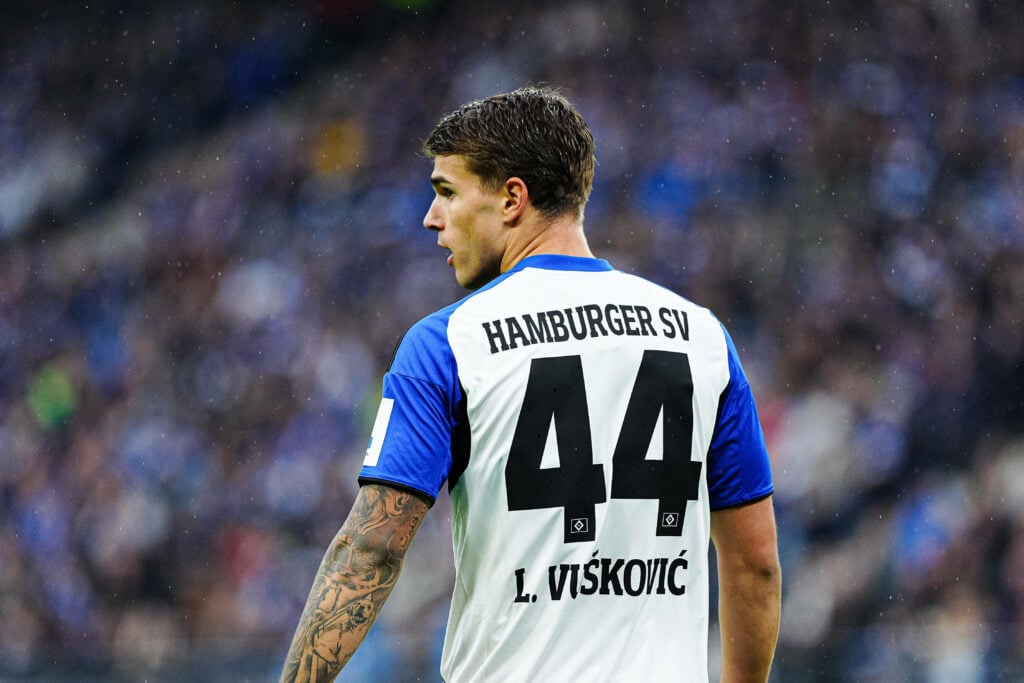 Luka Vuskovic in action for Hamburg