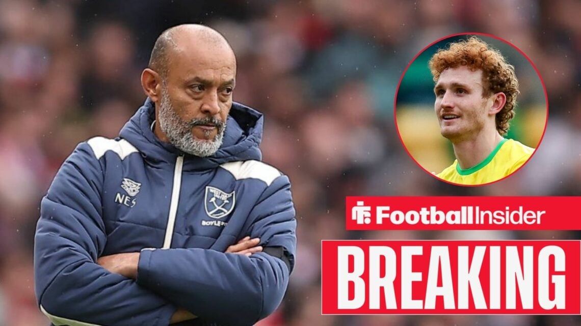 Nuno Espirito Santo on the sidelines, with Josh Sargent in a circular inset