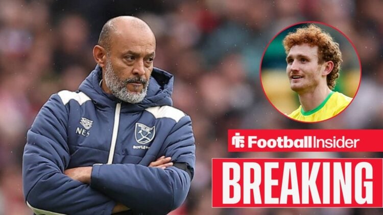 Nuno Espirito Santo on the sidelines, with Josh Sargent in a circular inset