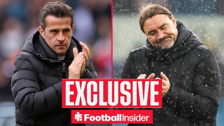 Marco Silva and Daniel Farke side-by-side