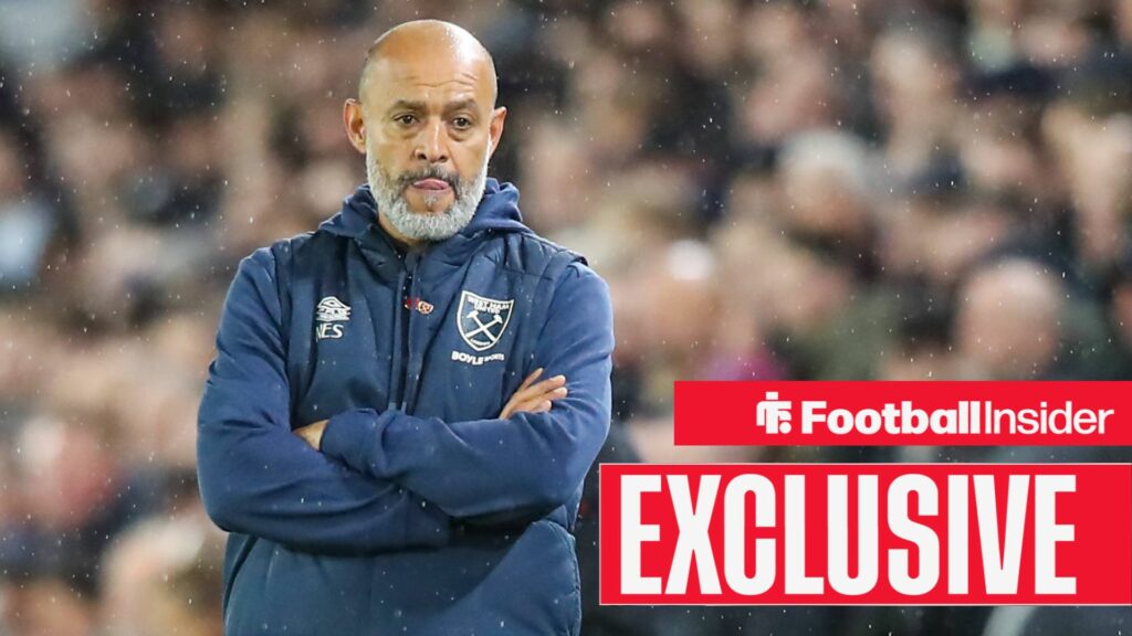 Expert drops West Ham relegation verdict - 'This is what will decide their fate'