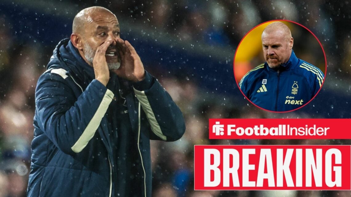 Nuno Espirito Santo shouting, Sean Dyche in a circular inset