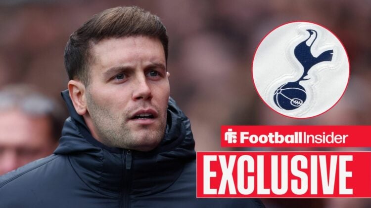 Brighton manager Fabian Hurzeler looks exasperated with Tottenham badge inset