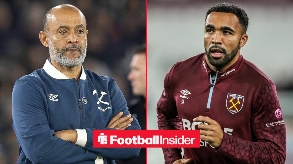 Callum Wilson to blame as Nuno Espirito Santo surely next Premier League manager to be sacked