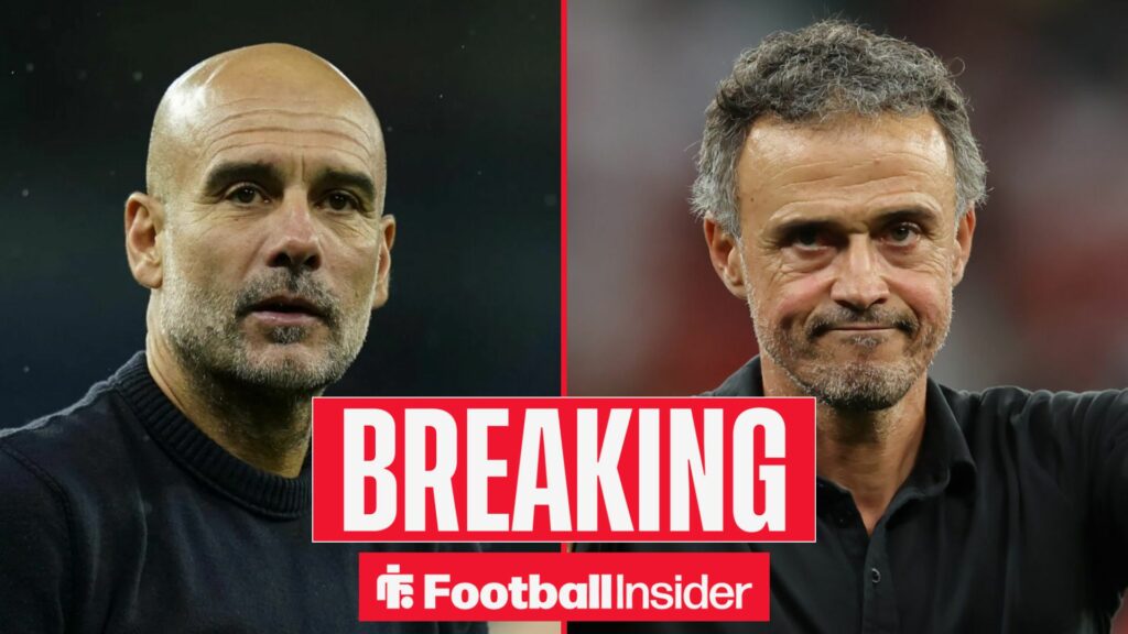 Sources: Man City given encouragement in move for Luis Enrique