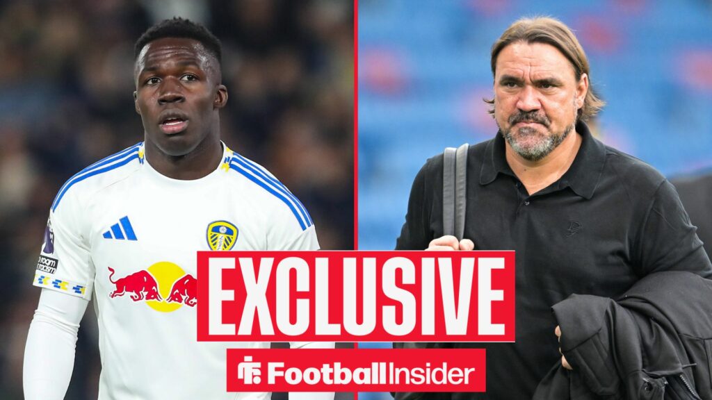 Sources: Leeds plan to accept 'big' Wilfried Gnonto offer