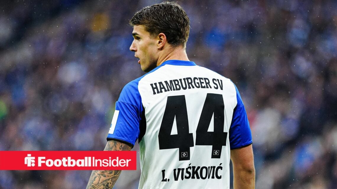 Hamburg player and Tottenham loanee Luka Vuskovic