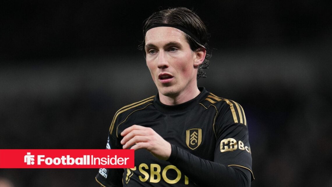 Fulham forward Harry Wilson