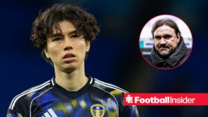 Ao Tanaka, Daniel Farke