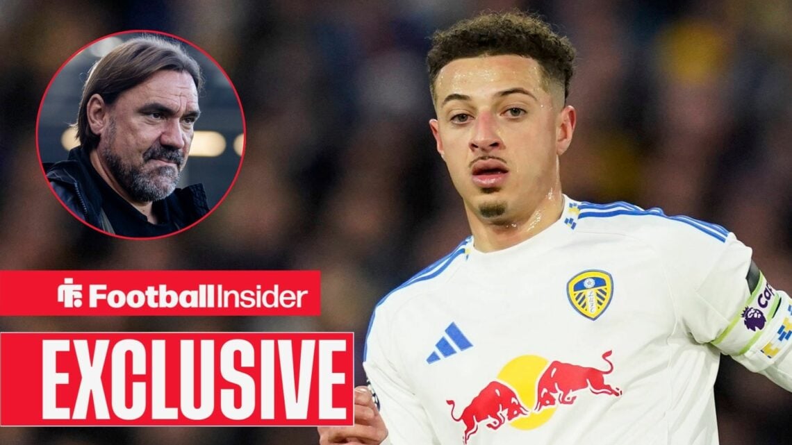 Ethan Ampadu, Daniel Farke