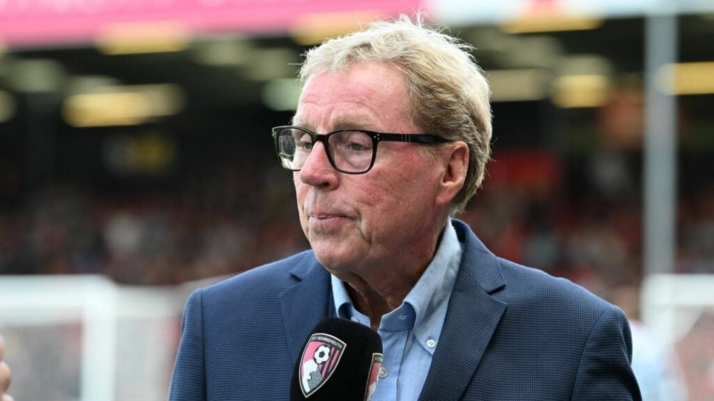 Harry Redknapp during an interview