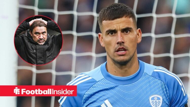 Karl Darlow, Daniel Farke