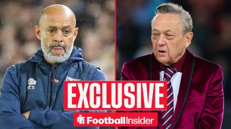 Nuno Espirito Santo alongside David Sullivan