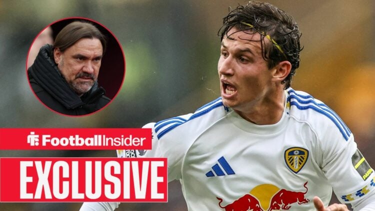 Brenden Aaronson Daniel Farke