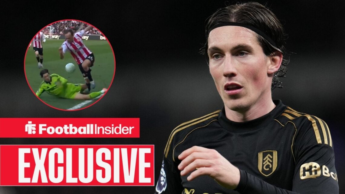 Harry Wilson of Fulham during the Premier League match Tottenham Hotspur vs Fulham at Tottenham Hotspur Stadium, London, United Kingdom, 29th Novem...