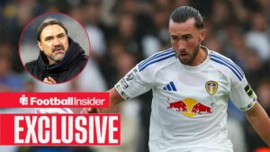 Jack Harrison and Daniel Farke