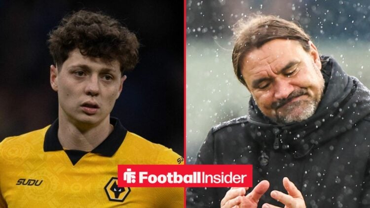 Ladislav Krejci in action for Wolves, with Daniel Farke on the sidelines at Leeds United