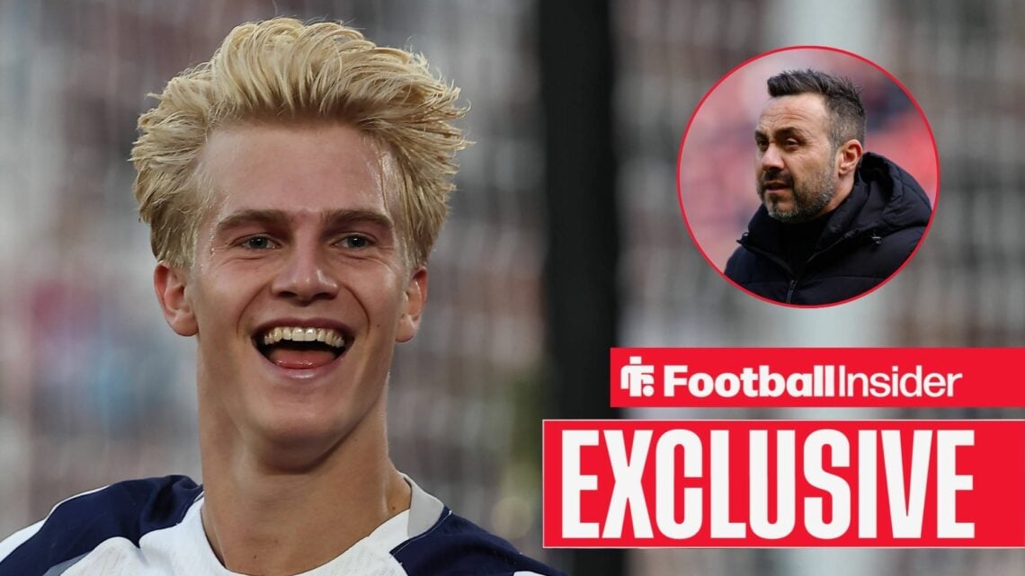 Lucas Bergvall Roberto De Zerbi