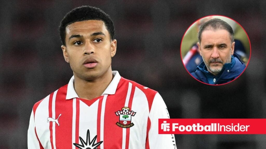 Expert: Nottingham Forest plot move to sign Southampton hero after what they saw