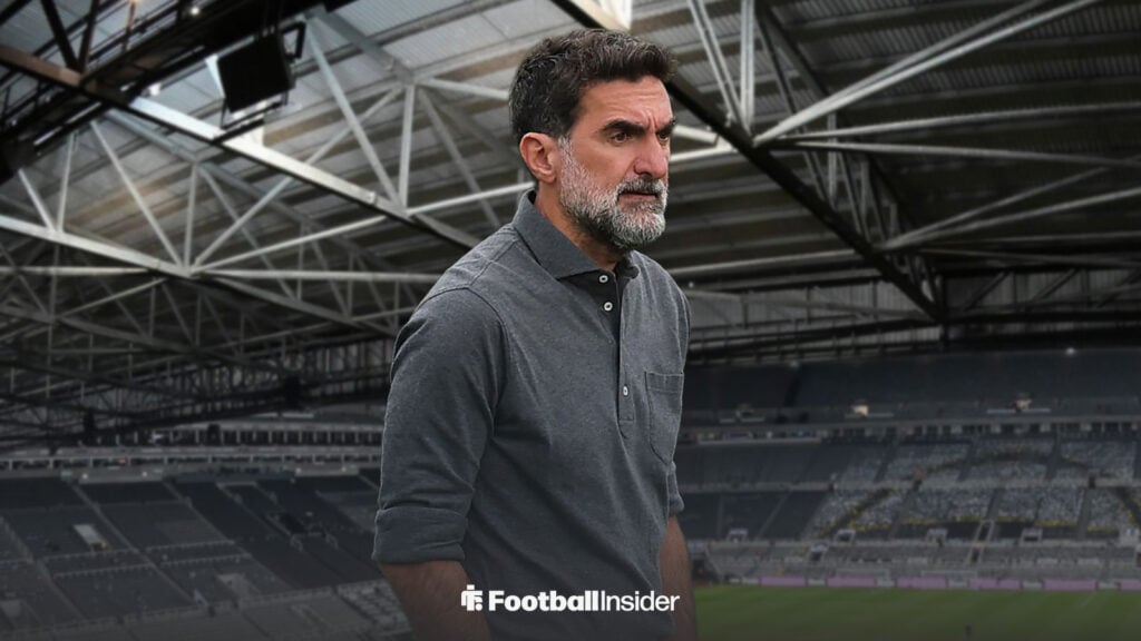 Elite club adviser: £500m Newcastle takeover whispers result of 'animosity' between Saudi Arabia & Qatar