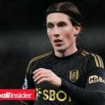 Fulham winger Harry Wilson