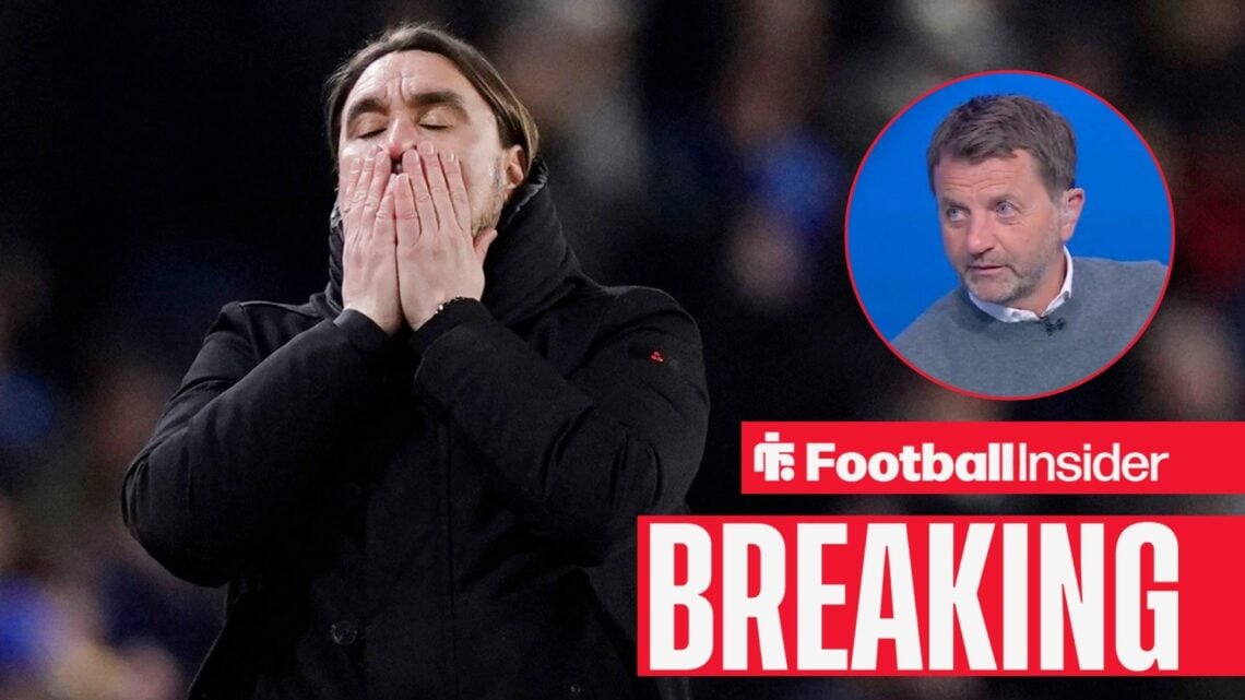 Leeds United manager Daniel Farke has his head in his hands as Tim Sherwood watches from the Sky Sports News studio.
