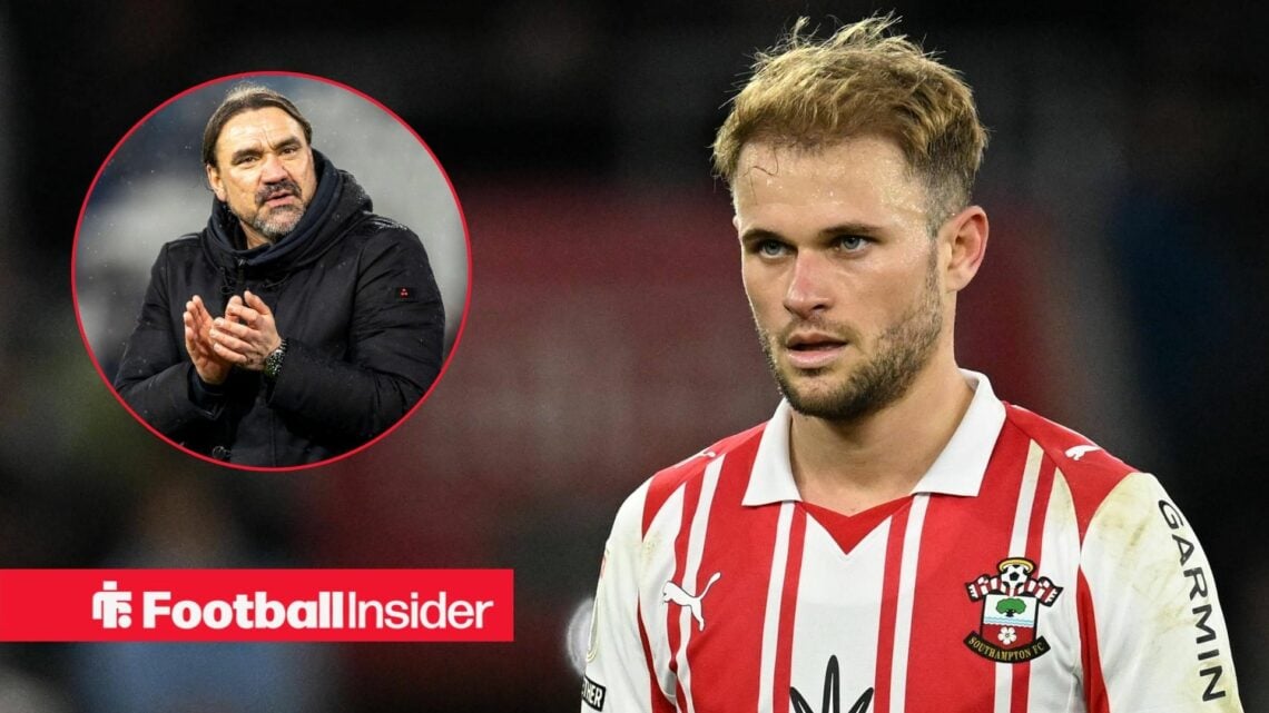 Leo Scienza 13 of Southampton during the EFL Sky Bet Championship match between Southampton and Hull City at the St Mary s Stadium, Southampton, UK...