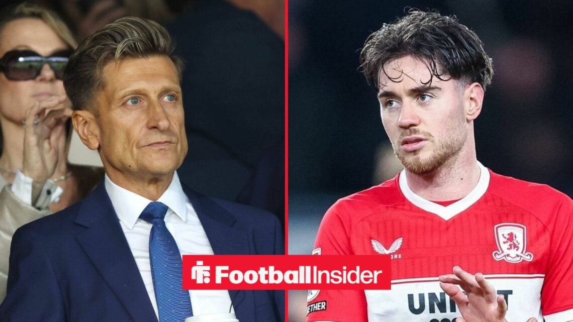 Steve Parish in the stands at Crystal Palace, with Hayden Hackney in action for Middlesbrough