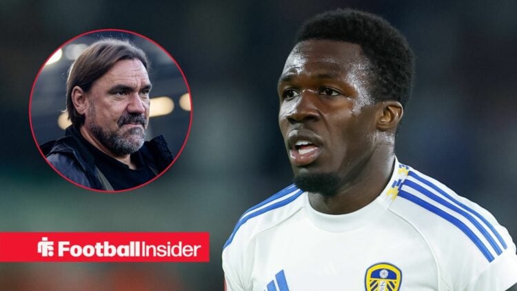 Wilfried Gnonto Daniel Farke