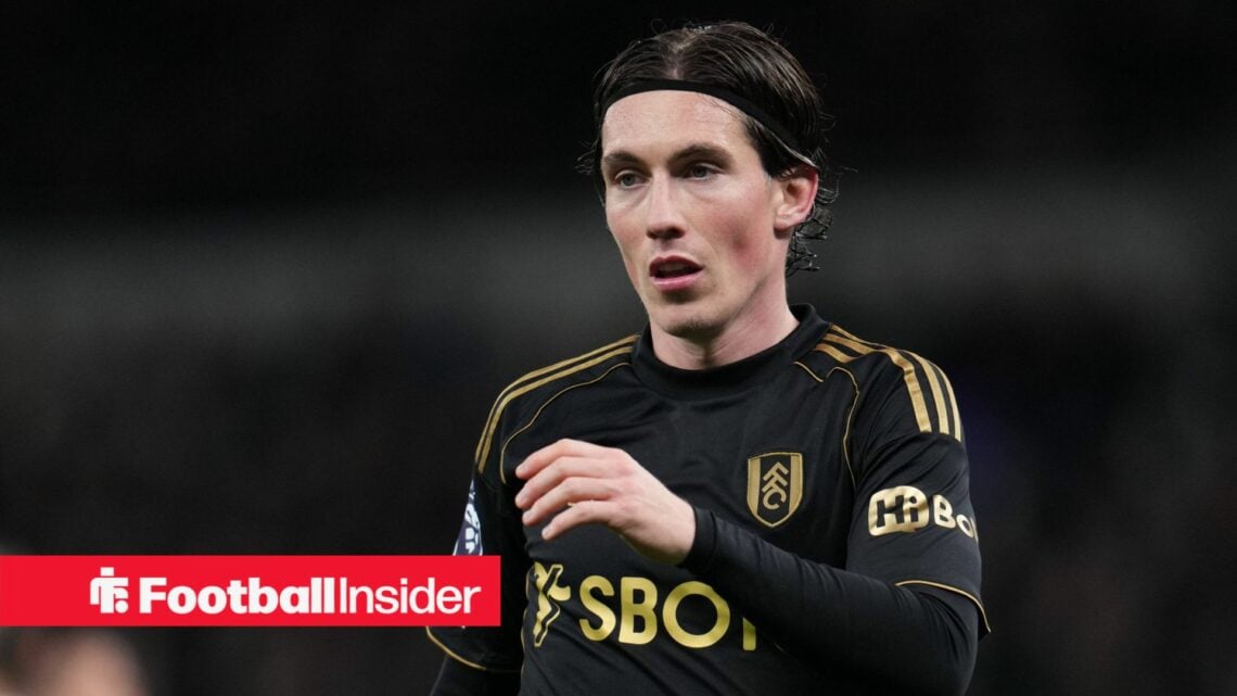 Harry Wilson in action for Fulham